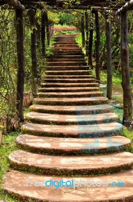 Stairway In Garden Stock Photo