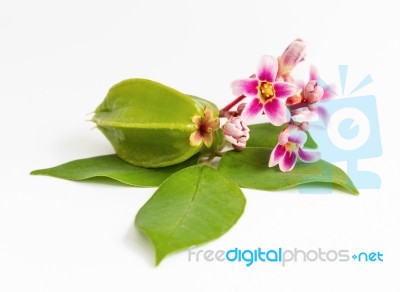 Star Apple Fruit Stock Photo