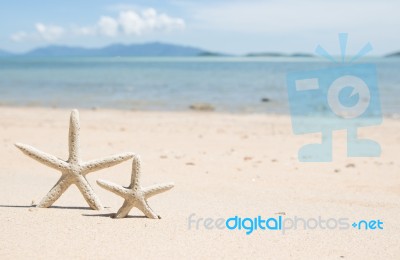 Starfish Standing On The Beach Stock Photo