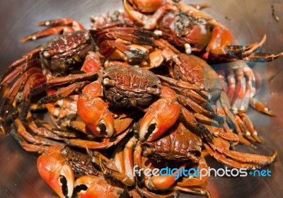 Steam Crabs Stock Photo