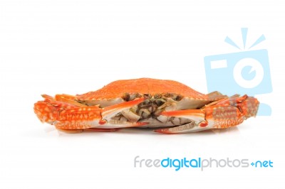 Steamed Blue Crabs Stock Photo