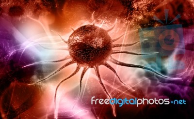 Stem Cell Stock Image