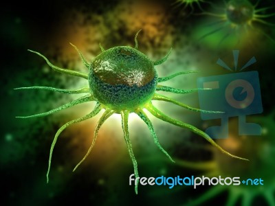 Stem Cell  Stock Image