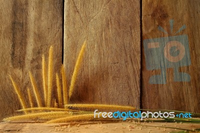 Still Life With  Foxtail Grass Stock Photo