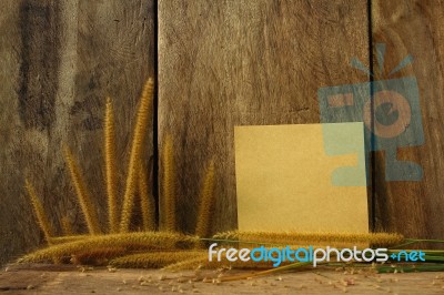 Still Life With  Notepad And Foxtail Grass Stock Photo
