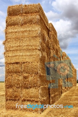 Straw Bale Stock Photo