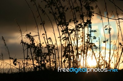 Sunrise Across Essex Stock Photo