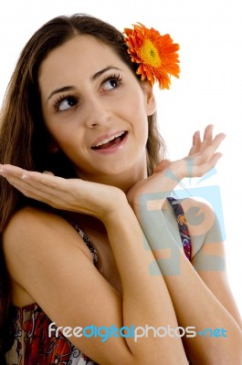 Surprising Lady With Gerbera In Hair Stock Photo