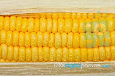 Sweet Corn Stock Photo