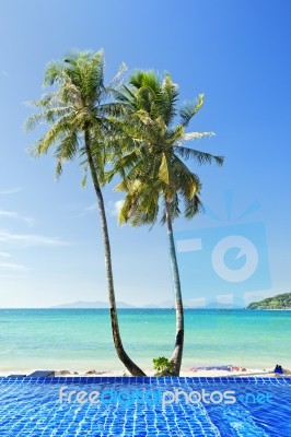 Swimming Pool Near Beach Stock Photo