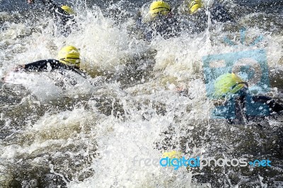 Swimming Race Stock Photo