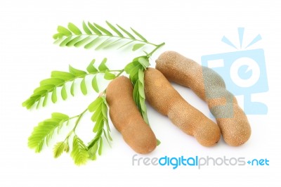 Tamarind With Leaves Stock Photo