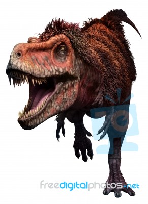 Tarbosaurus Stock Image