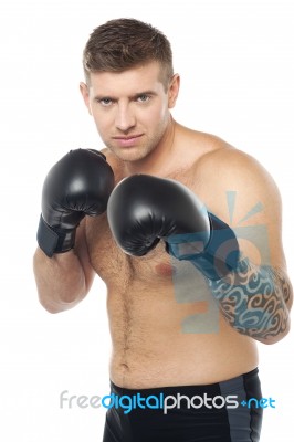 Tattoo Young Boxer Standing Stock Photo