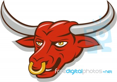 Texas Longhorn Red Bull Head Cartoon Stock Image