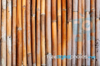 Texture Of Bamboo Stock Photo