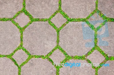 The Cement Brick Between Green Grass Background Stock Photo
