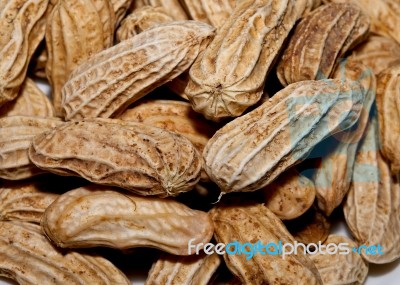 The Closeup Of Boil Peanut Thai Style Stock Photo