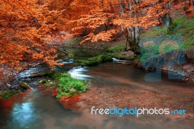 The Colors Of Autumn Stock Photo