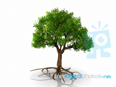 The Green Tree Stock Image