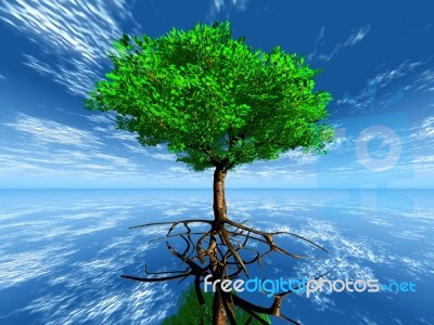 The Green Tree Stock Image