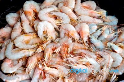 The Raw Of Shrimps Stock Photo