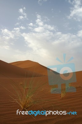 The Sahara Desert Stock Photo