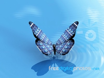 The Solar Cell Butterfly Stock Image