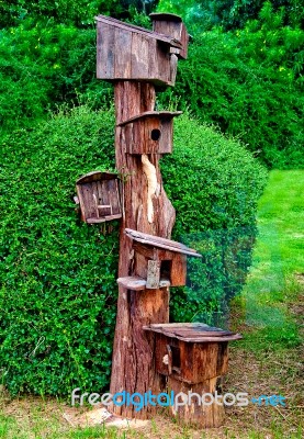 The Wooden Of Birdhouse Family Stock Photo