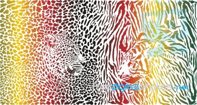 Tiger And Leopard And Color Pattern Background Stock Image