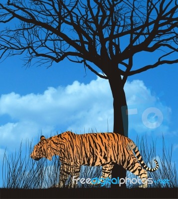 Tiger Under The Tree Stock Image
