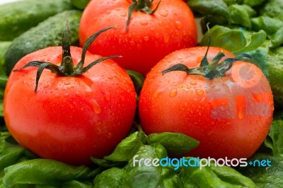 Tomato And Basil Stock Photo