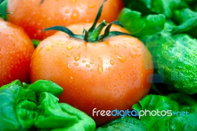 Tomato On A Background Of Green Stock Photo