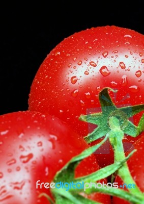 Tomatoes On Vine Stock Photo