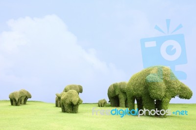 Topiary Elephants Stock Photo