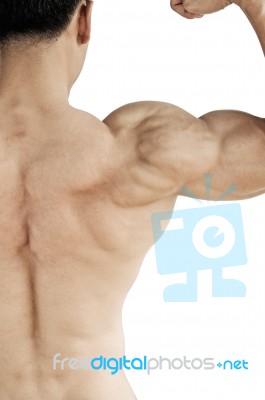 Torso Muscular Man Showing Biceps. Rear View Stock Photo