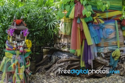 Traditional Thai Spirit House And Big Tree Stock Photo
