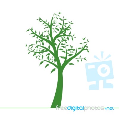 Tree  Stock Image