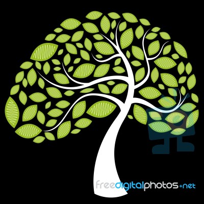 Tree Stock Image