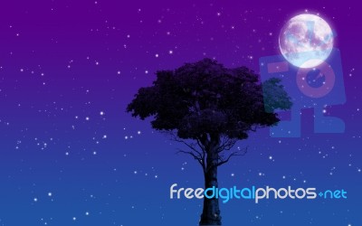 Tree And Moon Stock Photo