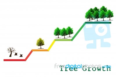 Tree Graph Stock Image
