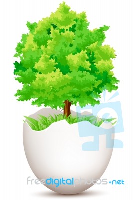Tree Growing From Egg Stock Image