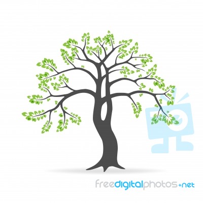 Tree Illustration Stock Image
