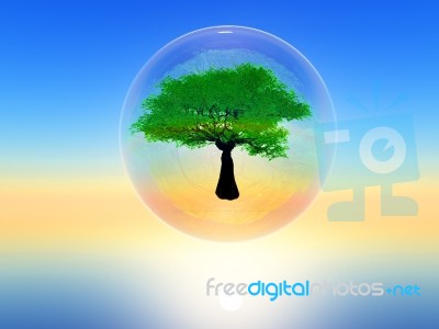 Tree In A Bubble Stock Photo