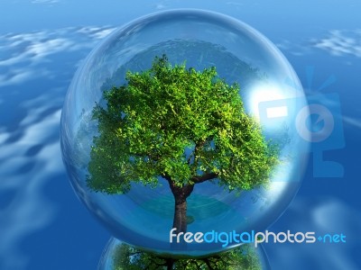 Tree In A Bubble Stock Image