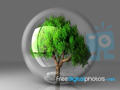 Tree In A Bubble Stock Photo