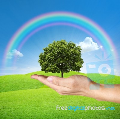 Tree In Hands With Rainbow Stock Image