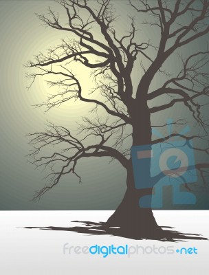Tree In Winter Fog Stock Image