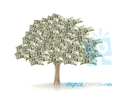 Tree Money Stock Image