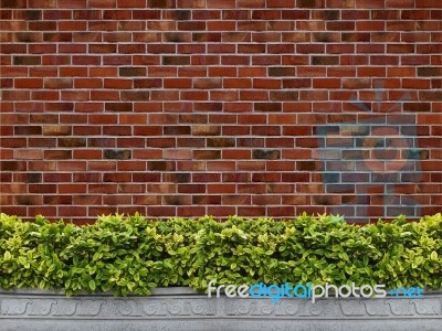 Tree With Brick Wall Background Stock Photo